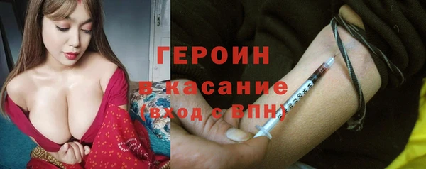 прущие грибы Аркадак