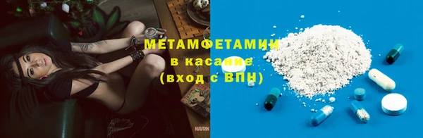 прущие грибы Аркадак