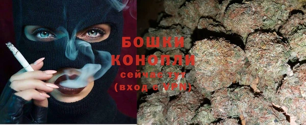 прущие грибы Аркадак