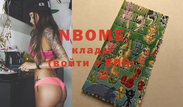 прущие грибы Аркадак
