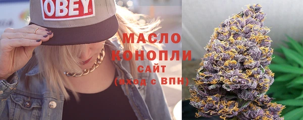 прущие грибы Аркадак