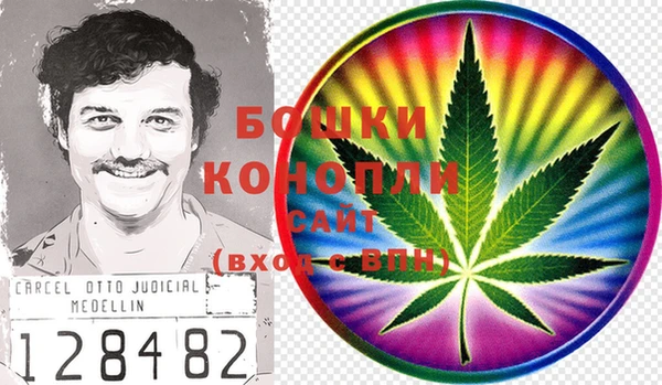 прущие грибы Аркадак